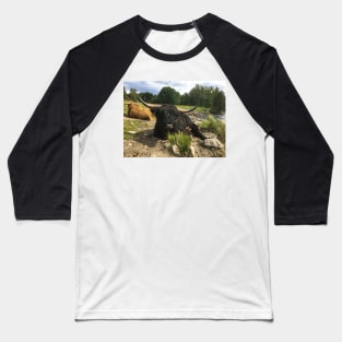 Scottish Highland Cattle Bull 2036 Baseball T-Shirt